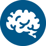 Cerebrito 2